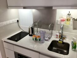 Starlight Suites (D9), Apartment #569731941